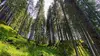 Le Trentin : Paradis naturel de l'Italie du Nord