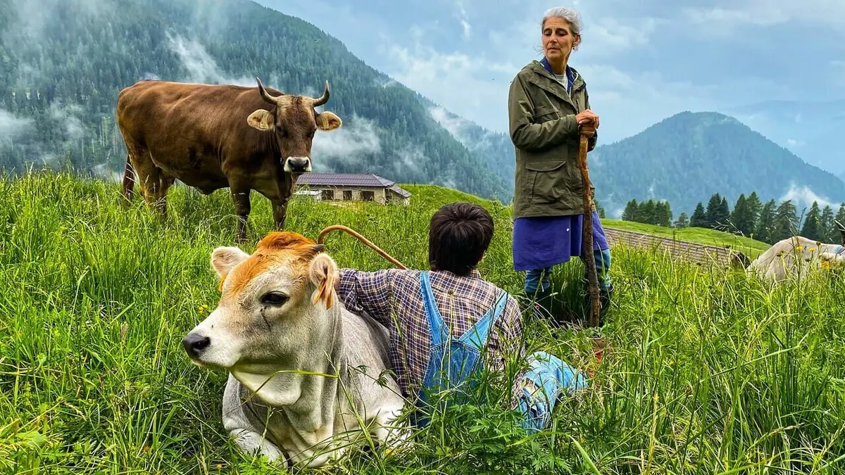 Visuel de Le Trentin : Paradis naturel de l'Italie du Nord