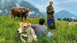 Visuel de Le Trentin : Paradis naturel de l'Italie du Nord