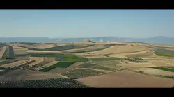 Le trésor de Crésus