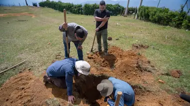 Qu'est-ce qu'il y a dans ce paquet ?