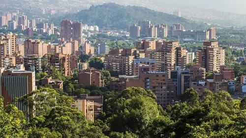 Le trésor de Pablo Escobar La jungle