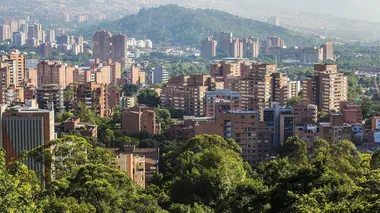 Le trésor de Pablo Escobar La jungle