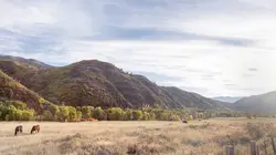 Le trésor du ranch maudit Intrus