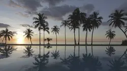 Le trésor perdu des Templiers