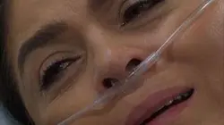 Visuel de Le triomphe de l'amour