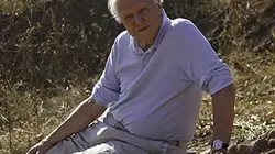 Le triomphe des vertébrés E02 Le règne des mammifères