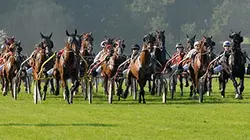 Visuel de Le trotteur français, toujours plus rapide