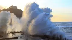 Le tsunami des Belges