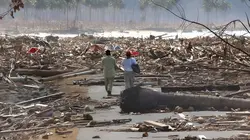 Le tsunami des Belges