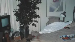 Le tueur d'hôtesses de l'air Jeeta