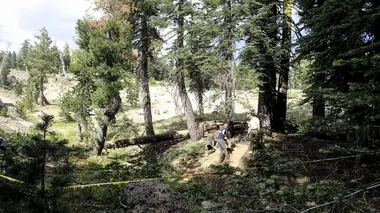 Le lien avec l'armée