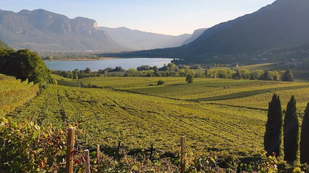 Le Tyrol du Sud Autour du lac de Caldaro