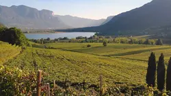 Le Tyrol du Sud Autour du lac de Caldaro