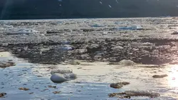 Le vent : Dans la tourmente du changement climatique