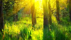 Le vent des profondeurs