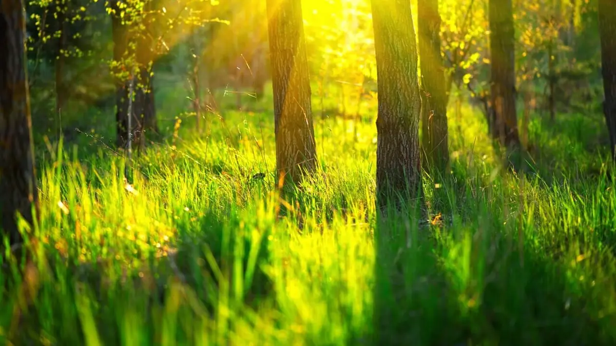 Le vent des profondeurs