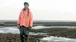 Le ventre d'Amsterdam