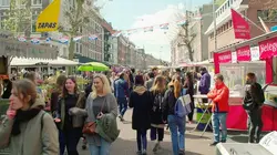 Le ventre d'Amsterdam