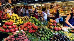 Visuel de Le ventre de Barcelone