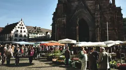 Le ventre de Fribourg