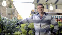 Le ventre de Palerme