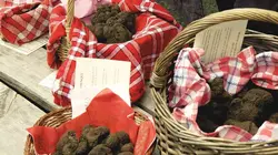 Le ventre de Toulouse