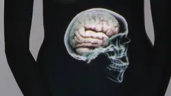 Le ventre, notre deuxième cerveau