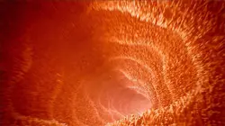 Le ventre, notre deuxième cerveau