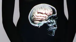 Le ventre, notre deuxième cerveau