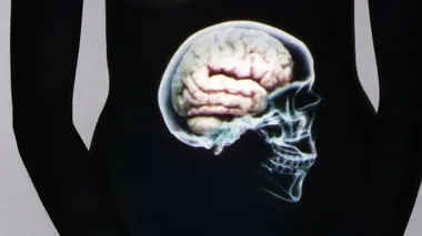 Le ventre, notre deuxième cerveau