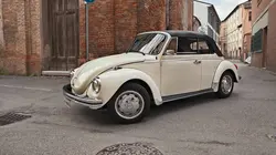 Le véritable inventeur de la coccinelle