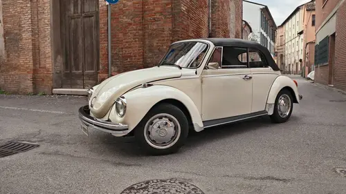 Le véritable inventeur de la coccinelle