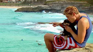 Le vétérinaire de Bondi Beach