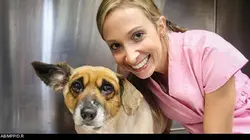 Le vétérinaire de Bondi Beach S04E08 Un chiot en garde à vue