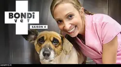 Le vétérinaire de Bondi Beach S04E08 Un chiot en garde à vue