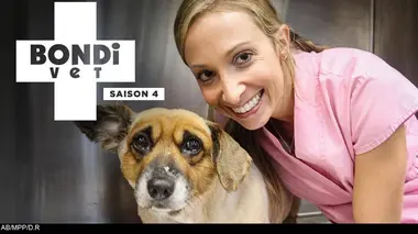 Le refuge des jumelles