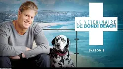 Le vétérinaire de Bondi Beach S04E14 Chiots d'assistance