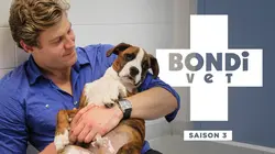 Le vétérinaire de Bondi Beach S03E10 Rocky le python