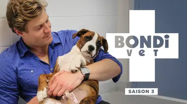 Chris en Afrique du Sud