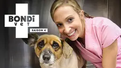 Le vétérinaire de Bondi Beach S04E05 Une opération délicate