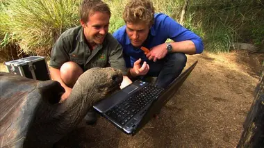 L'ennemi des skateboards