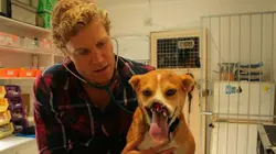 Le vétérinaire de Bondi Beach  S04E01 Un jour aux courses