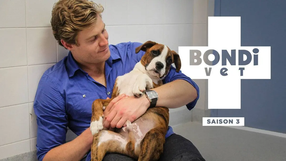 Le vétérinaire de Bondi Beach S03E10 Rocky le python