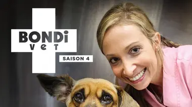 Un chiot en garde à vue