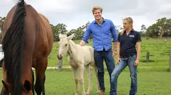 Le vétérinaire de Bondi Beach