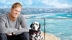 Le vétérinaire de Bondi Beach