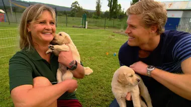 Le vétérinaire de Bondi Beach