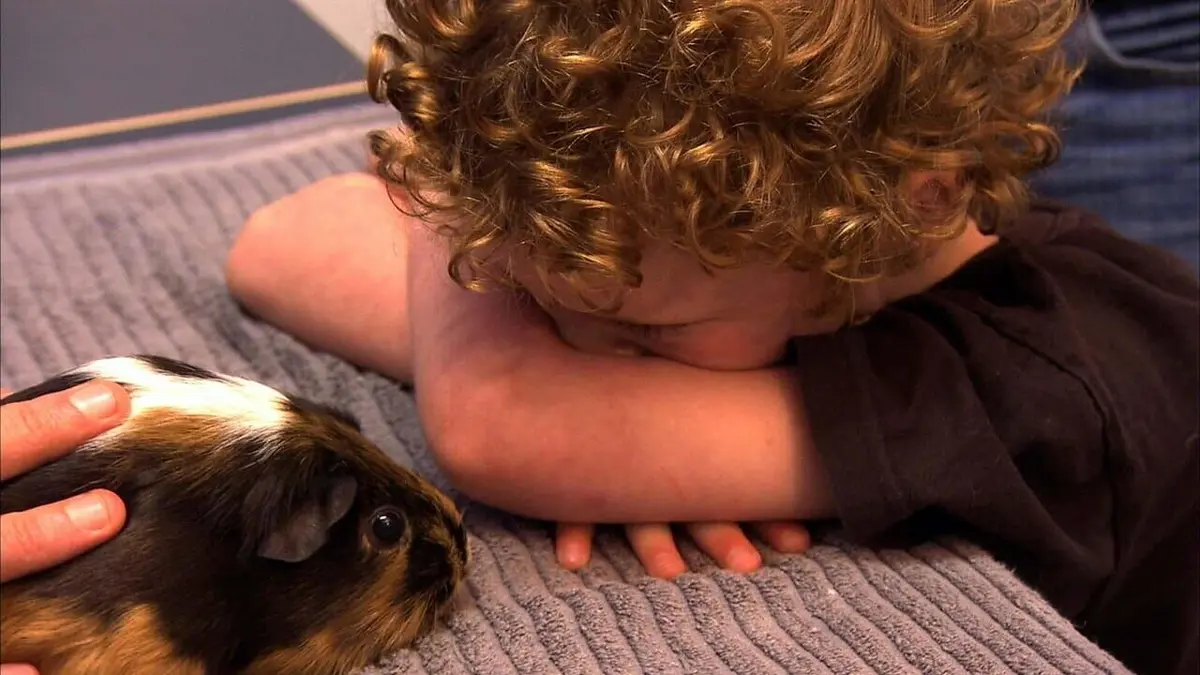 Le vétérinaire de Bondi Beach