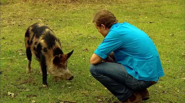 Le vétérinaire de Bondi Beach
